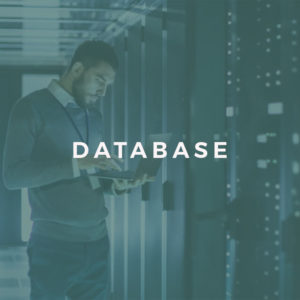 Database Basics for Beginners