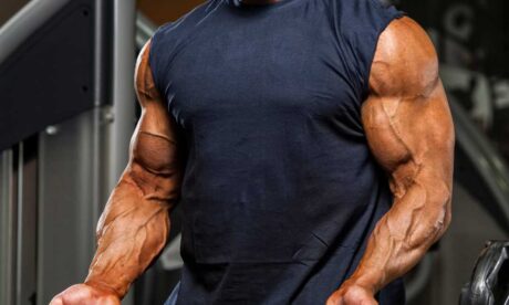 Muscle Building