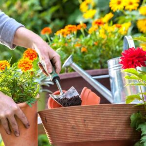 Gardening