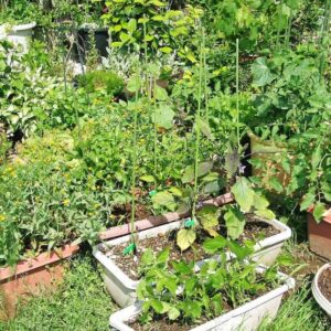 Home Decorating, Improving and Gardening