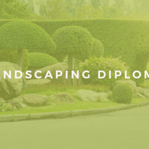 landscape gardening course