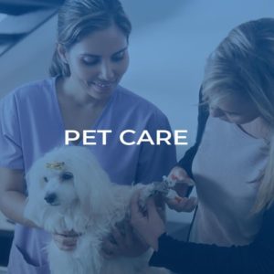 Pet Care Training Level 3 Diploma