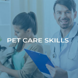 Pet Care Skills Training Diploma - 3 Certified Diploma in 1 Course