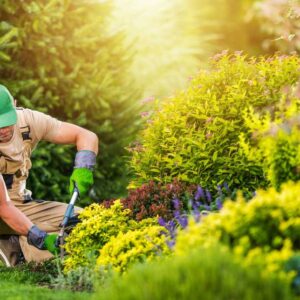 garden design ideas
