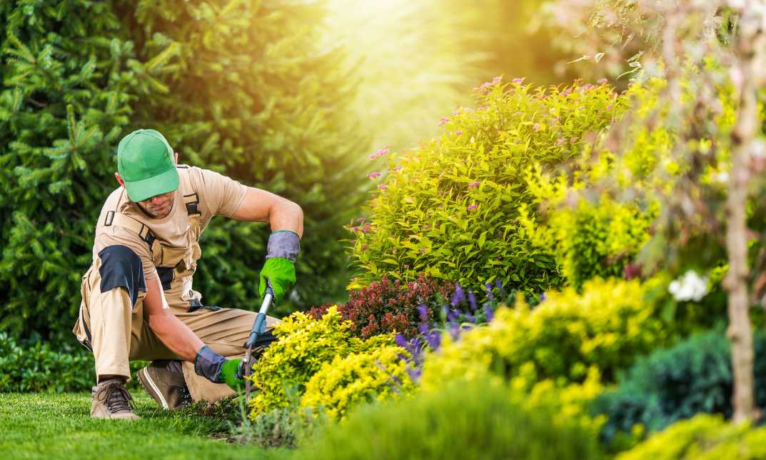 Garden Design and Maintenance