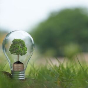 Renewable Energy
