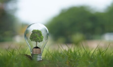 Renewable Energy