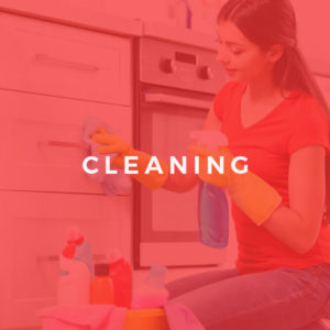 Complete Course in Cleaning Level 2