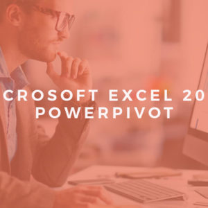 Microsoft Excel 2016 PowerPivot Advanced