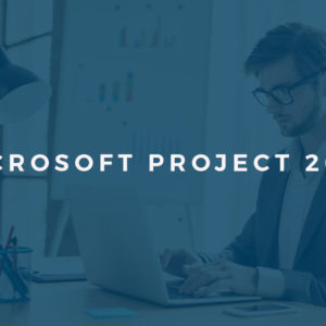 Microsoft Project 2010 Advanced Level - Video Training Course