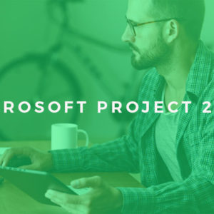 Microsoft Project 2013 Beginners Level - Accredited Training