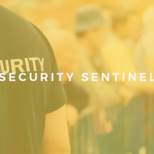 Certified Security Sentinel (CSS) Online Training Course