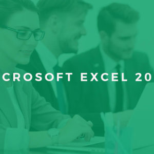 Microsoft Office 2013 Excel Beginners - Online Video Training Course