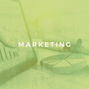 Marketing Strategy for Business