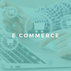 E-Commerce Management Skills