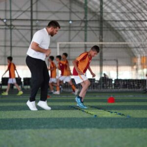 Coaching and Mentoring