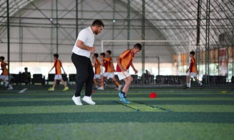 Coaching and Mentoring