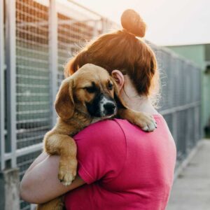 Animal Psychology