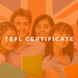 tefl online course