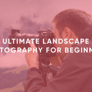 Ultimate Landscape Photography for Beginners