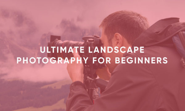 Ultimate Landscape Photography for Beginners