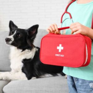 Pet First Aid Training