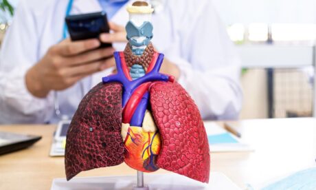 level 3 anatomy and physiology