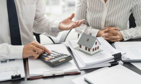 Property Developer and Estate Agent