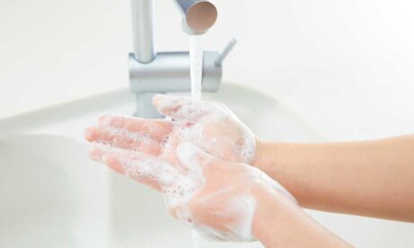 Food Sanitation and Protection