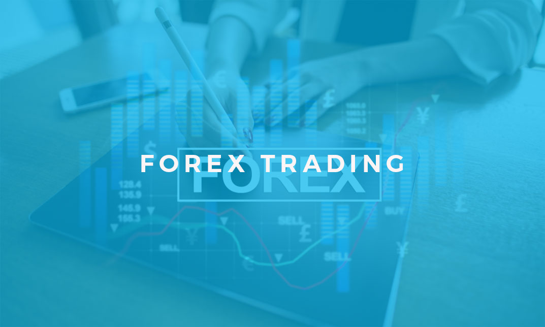 forex trading video course