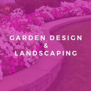 Garden Design and Landscaping