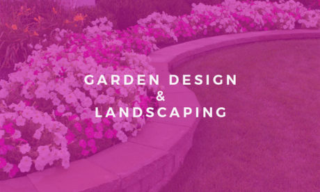 Garden Design and Landscaping