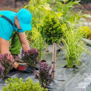 Certificate in Garden & Landscape Design