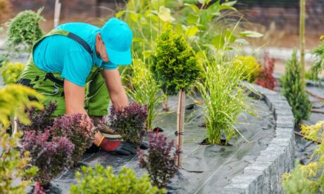 Certificate in Garden & Landscape Design