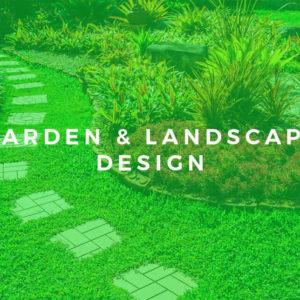 Garden & Landscape Design course