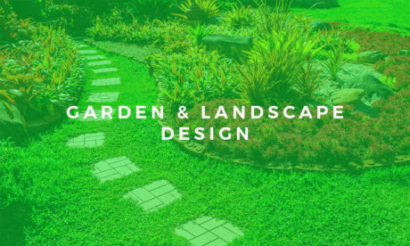 Garden & Landscape Design course