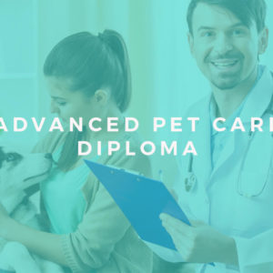 Pet Care Diploma: Complete Bundle - Animal Psychology, Pet First Aid, CPR and Pet Business