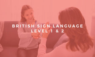 British Sign Language (BSL) Certificate Course: Level 1 & 2