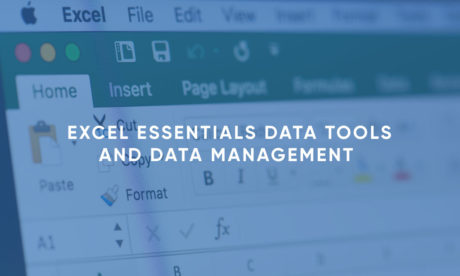 Excel Essentials Data Tools and Data Management