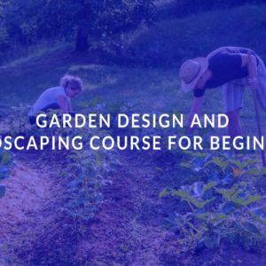 Garden Design and Landscaping Course for Beginners