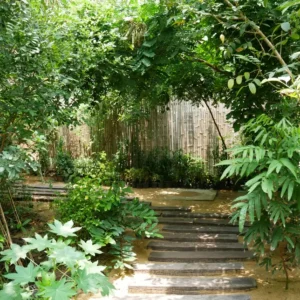 Garden Design and Landscaping Course for Beginners