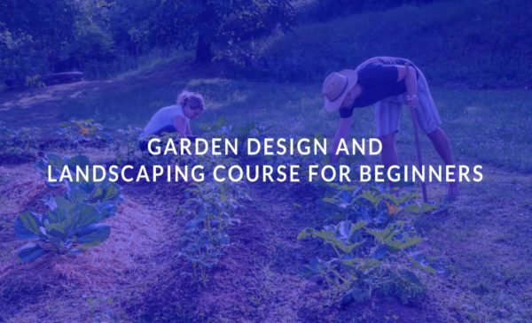 Garden Design and Landscaping Course for Beginners