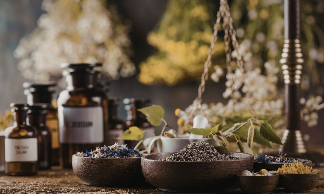 Herbalist Course