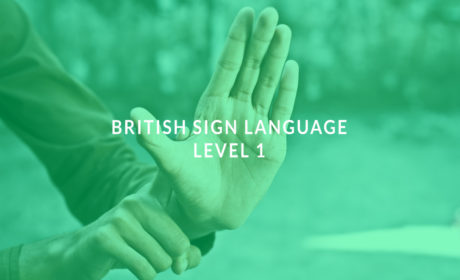 British Sign Language: Level 1