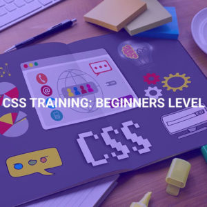 CSS Training: Beginners Level