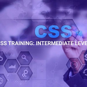 CSS Training: Intermediate Level