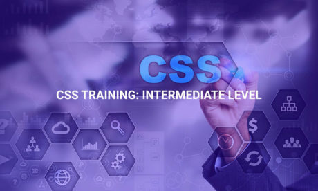 CSS Training: Intermediate Level
