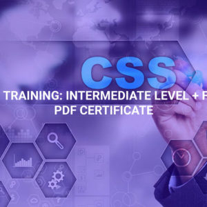 CSS Training: Intermediate Level + Free PDF Certificate