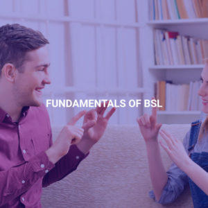Fundamentals of BSL