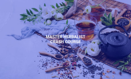 Master Herbalist Crash Course